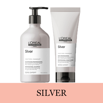 L'Oreal Serie Expert Silver